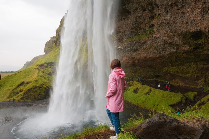 South Iceland, Glacier and Black Sand Beach Small Group Tour - Key things to know before you go