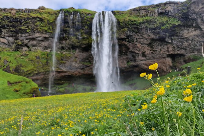 South Iceland, Glacier and Black Sand Beach Small Group Tour - Small-group size, pickup timing, and getting on the bus