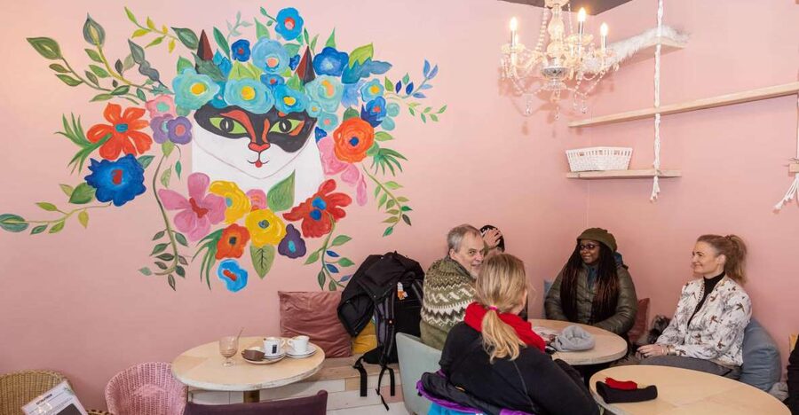 The Private Reykjavik CatWalk - Why a cat-themed walk in downtown Reykjavik works