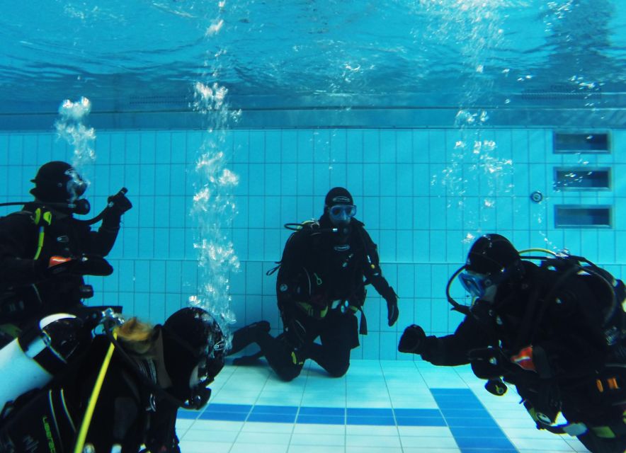 Thingvellir: Silfra Fissure Diving with Optional Pickup - The Dry Suit Reality: Requirements and Comfort Planning