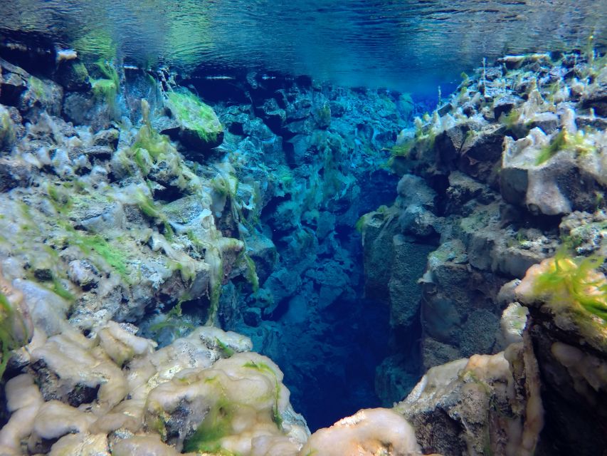 Thingvellir: Silfra Freedive Adevnture with a Guide - Who This Tour Fits, and Who Should Skip It