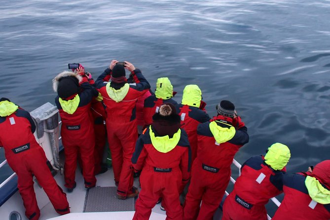 Two-In-One: Whale & Puffin Watching Tours from Reykjavik - Stop 2: Faxaflói Bay whale watching on the larger boat