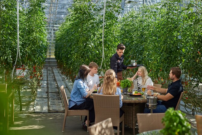 Unique Private Golden Circle, Secret Lagoon & Friðheimar Tour - Friðheimar Tomato Farm: Geothermal Energy in Real Life