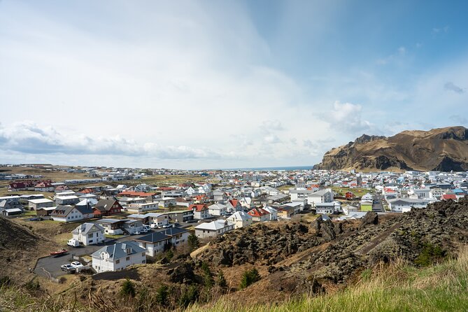 Vestmannaeyjar, Puffins & Volcanoes Small Group Day Tour - Key highlights worth waking up for