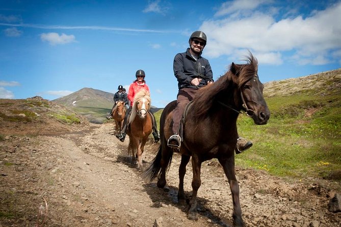 Viking Horse Riding and Golden Circle Tour from Reykjavik - Key Points You’ll Care About Before You Go