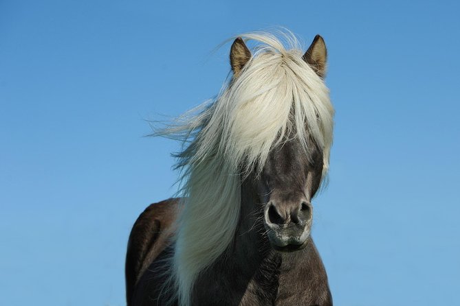 Viking Horse Riding and Golden Circle Tour from Reykjavik - Gullfoss Waterfall: The Right Kind of Loud for a One-Day Trip