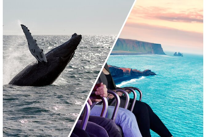 Whale Watching And Fly Over Iceland Guided Tour - Key things to know before you go