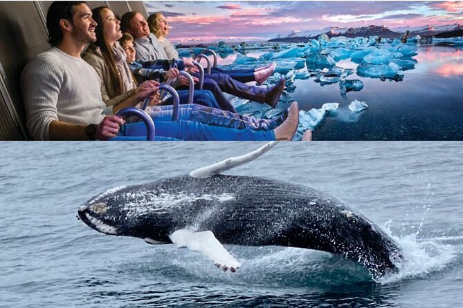 Whale Watching And Fly Over Iceland Guided Tour - Two big Reykjavik experiences, one tight time window
