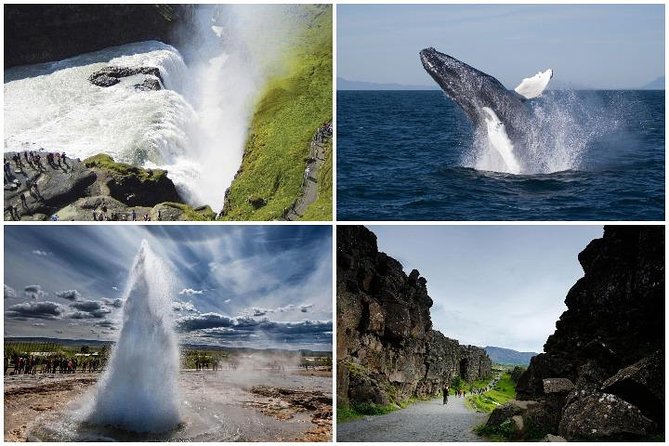 Whale Watching and Golden Circle Tour from Reykjavik - Þingvellir National Park: Between Two Continents