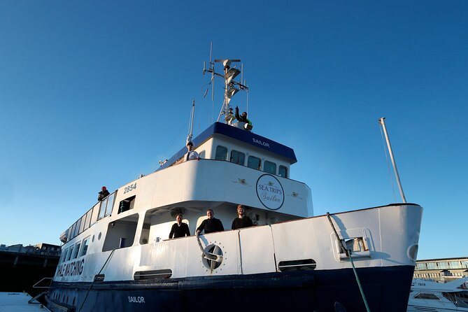 Whale Watching and Marine Life Tour in Reykjavik - Faxafloi Bay: the ocean “search area” that matters