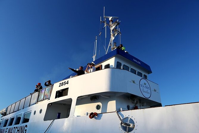 Whale Watching and Marine Life Tour in Reykjavik - Another-day ticket: what it really means for your money