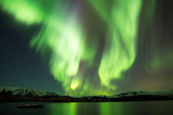 Whale Watching and Northern Lights Half-Day Combo Tour - The Timing Gap: Planning Dinner and Staying Warm Between Parts