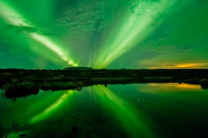Whale Watching and Northern Lights Half-Day Combo Tour - Price and Value: Does $176 Make Sense for Two Big Experiences?