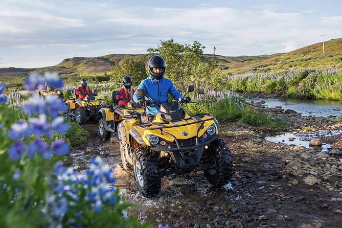 Whale Watching & ATV Adventure from Reykjavik - Safari Quads ATV: Learning Fast, Then Riding the Rugged Hills