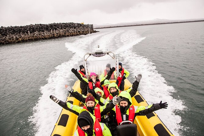 Whale Watching by RIB Speedboat from Downtown Reykjavik - Key highlights worth knowing before you go