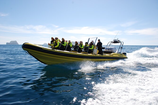 Whale Watching by RIB Speedboat from Downtown Reykjavik - The Faxafloi Bay sweep: scanning for whales and dolphins