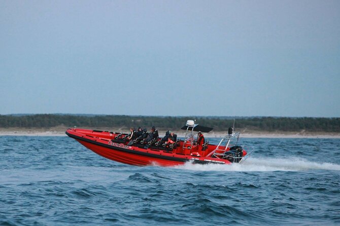 Whale Watching by RIB Speedboat from Downtown Reykjavik - The island stops: Engey, Lundey (Puffin Island), and Viðey