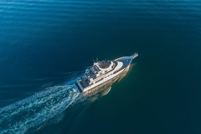 Whale Watching Cruise on a Yacht in Reykjavik - Reykjavik Yacht Whale Watching: The Value Behind the $102 Ticket