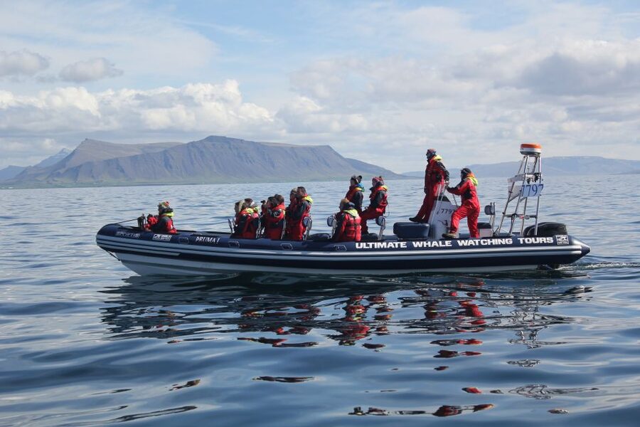Whale Watching in Reykjavik by Speedboat - What To Bring (So You Don’t Waste the Ride)