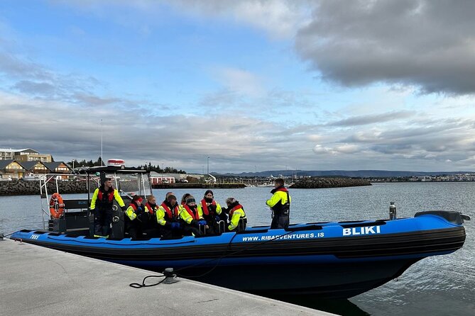 Whale Watching - RIB Boat Adventure in Kopavogur, Iceland - Entering the world of BLIKI: a whale watch built for speed