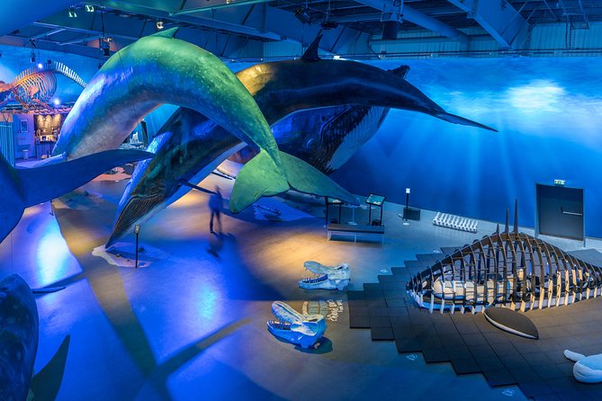 Whales Of Iceland Admission Ticket - Key highlights in a nutshell