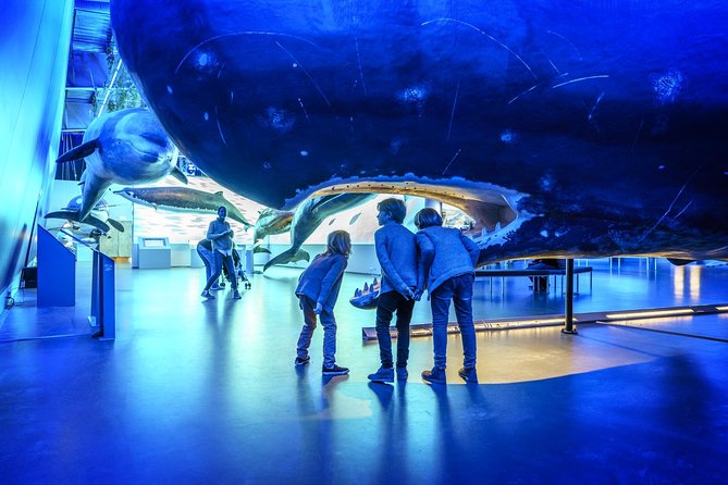 Whales Of Iceland Admission Ticket - Ticket Value: Audio Guide, Free Parking, and the Fin Whale Theatre