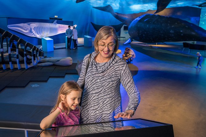 Whales Of Iceland Admission Ticket - Guided Tours in English: How to Pick the Right Time