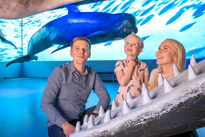 Whales Of Iceland Admission Ticket - How Long Should You Plan: 30–60 Minutes vs. Two Hours
