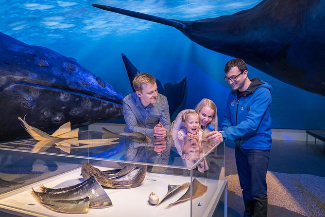 Whales of Iceland from Land and Sea - 2.5 or 3.5 hours at sea: how to choose your perfect timing