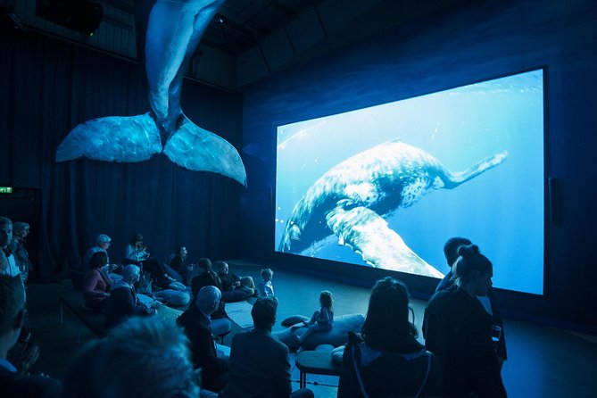 Whales of Iceland from Land and Sea - Whales of Iceland exhibition: the “start smart” museum stop