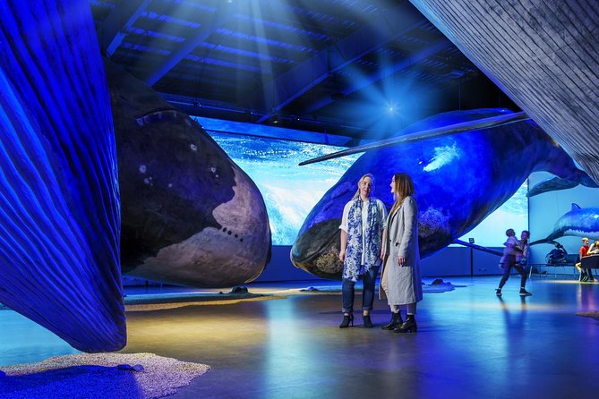 Whales of Iceland from Land and Sea - Value check: is $120.15 a fair deal?