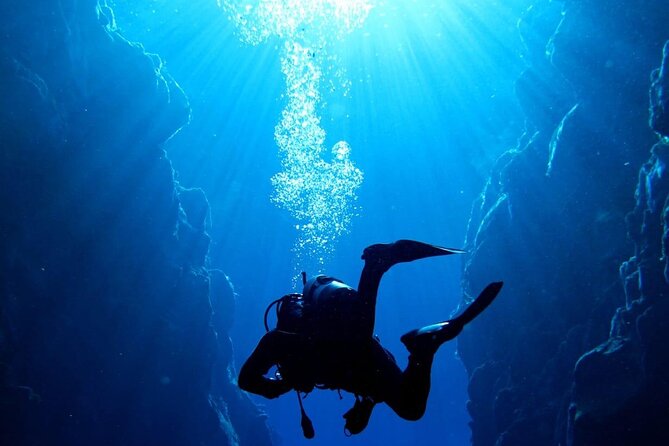 Where and How You Want Private Tour with Wilmar English or Spanish - Price and what the $900 per group really buys you
